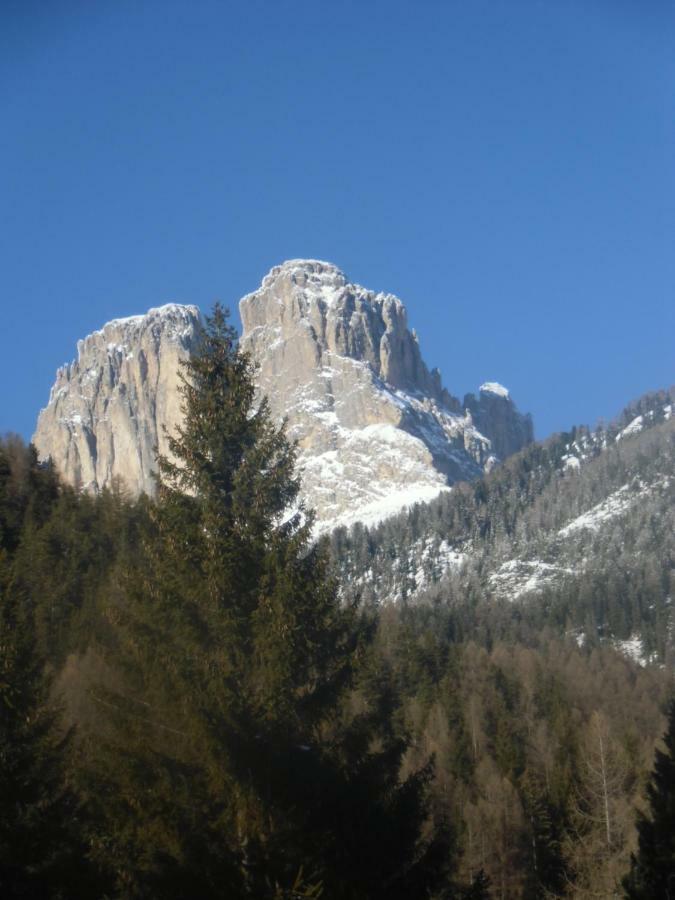 Готель Garni Festil Кампітелло-ді-Фасса Екстер'єр фото